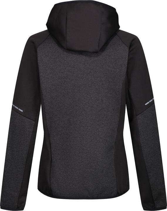 Actual product image Regatta Womens/Ladies X-Pro Coldspring II Fleece Jacket (36)
