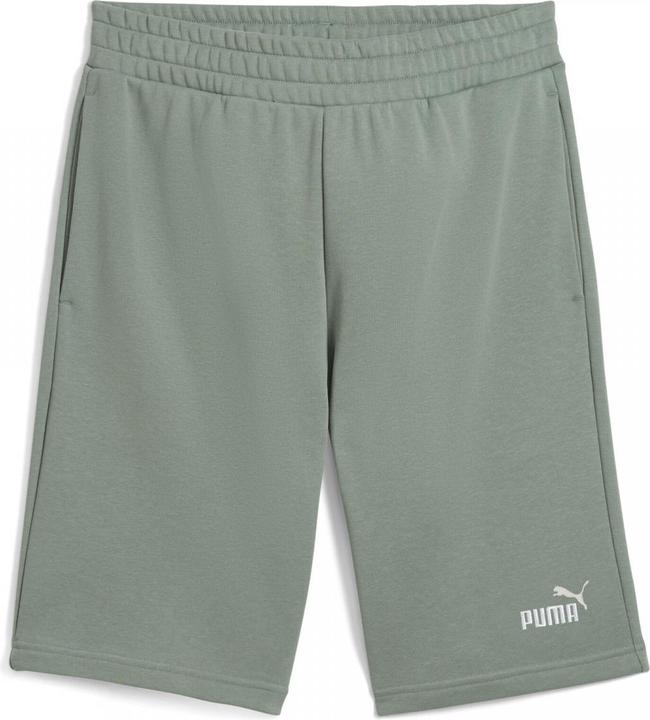 Actual product image Puma ESS 2 COLOR No. 1 Logo Shorts 10" TR (XL)