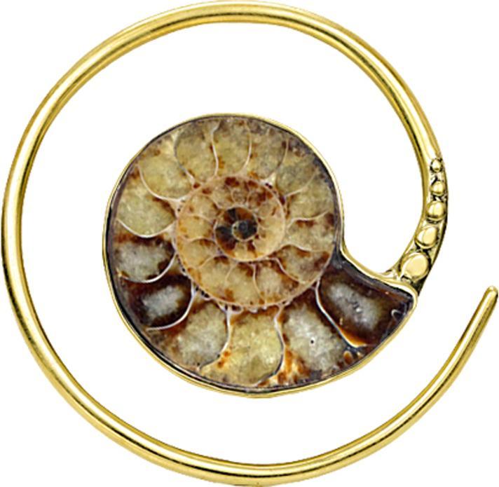 Star Piercing Ring vergoldet Spirale (Chirurgenstahl 316L)