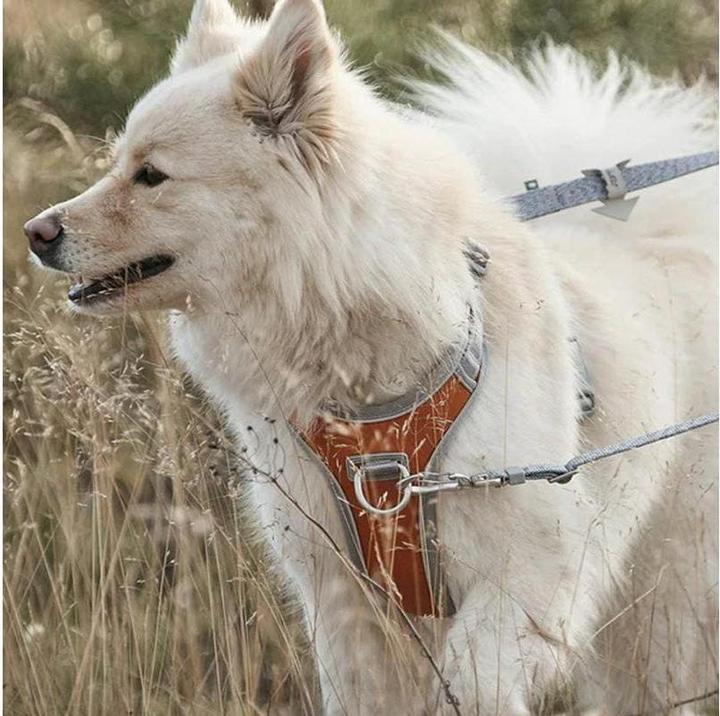Produktbild Hurtta Geschirr Venture No-Pull, 45-60, Blau (45, 46, 47, 48, 49, 50, 52, 54, 56, 58, 60, Hund, Allgemein)
