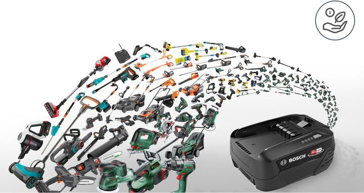 Actual product image Bosch Home & Garden Interchangeable battery (18 V)