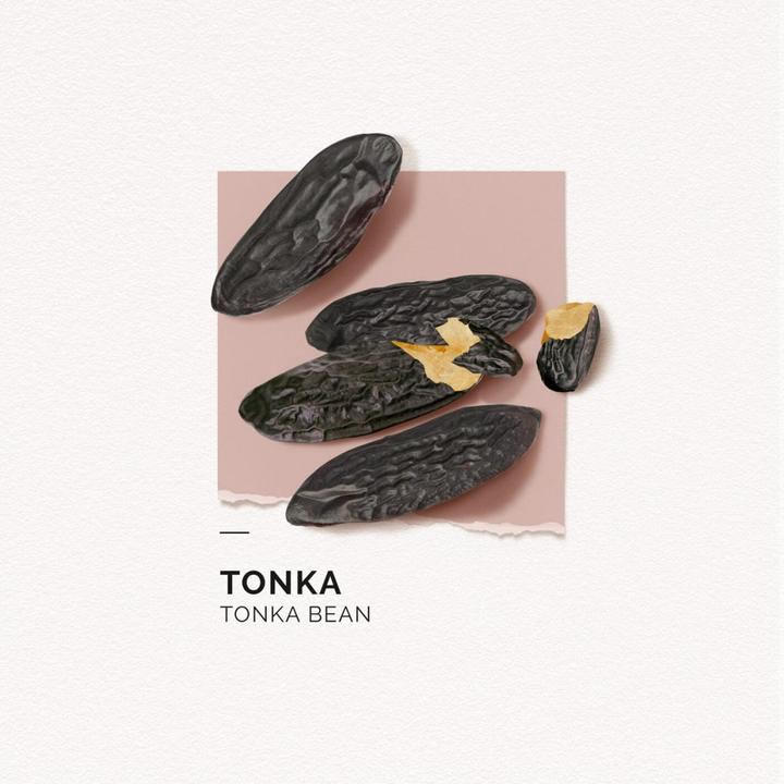 Actual product image Solinotes Tonka Mini Eau de Parfum (Eau de parfum, 15 ml)