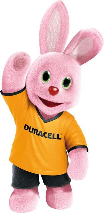Actual product image Duracell Plus (40 pcs., AAA)