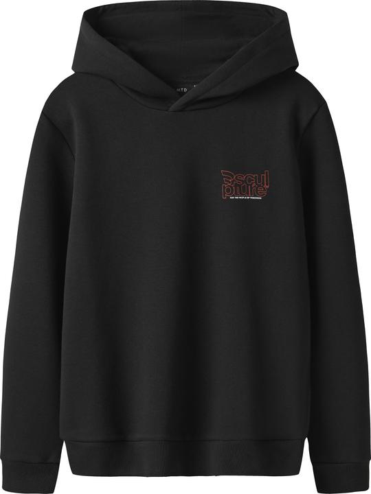 Actual product image Lmtd Langarm Hoodie (158)