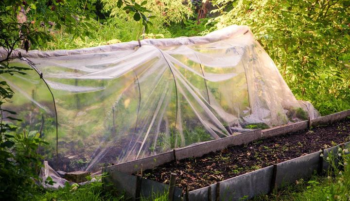 Produktbild Aquagart 10m Gartenfolie Gewächshausfolie UV 5 Frühbeetfolie Treibhausfolie 8m breit