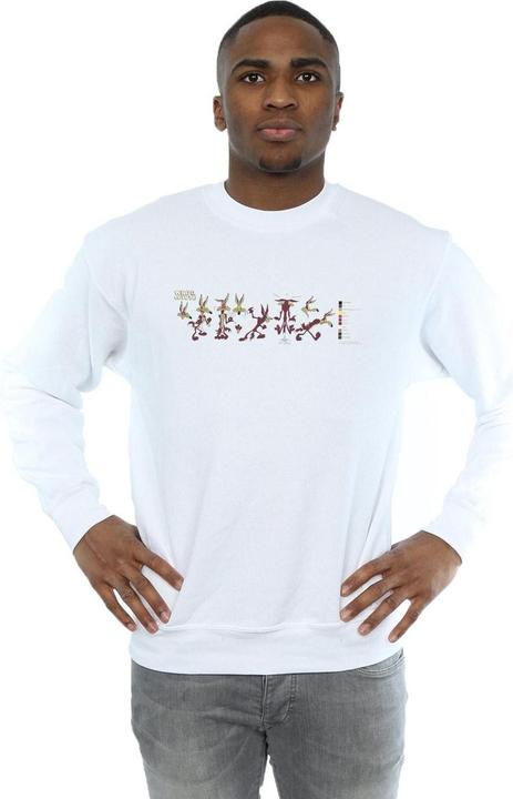 Produktbild Looney Tunes Wile E Coyote Colour Code Sweatshirt (3XL)