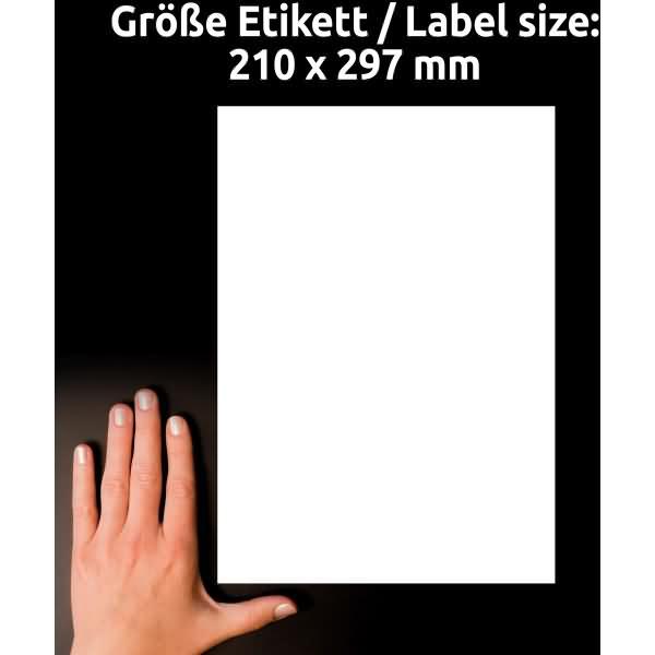 Actual product image Avery Ultra-resistant film labels