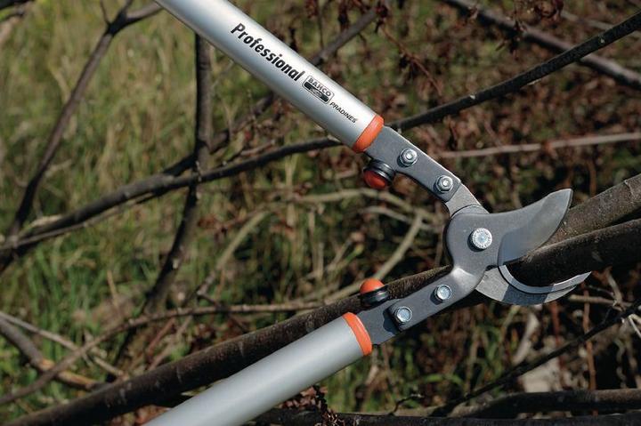 Actual product image Bahco Fruit tree loppers, P160-SL-90
