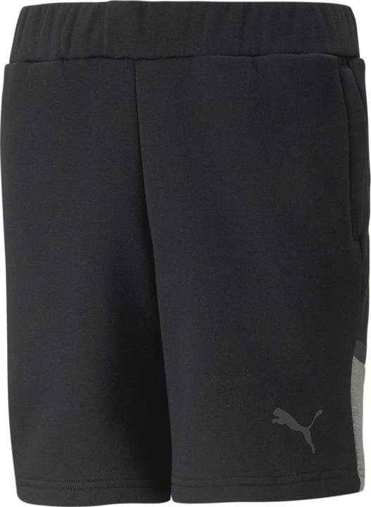 Puma teamCUP Casuals Shorts Jr