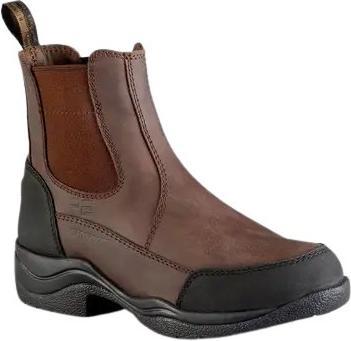 Premier Equine Vinci (46)