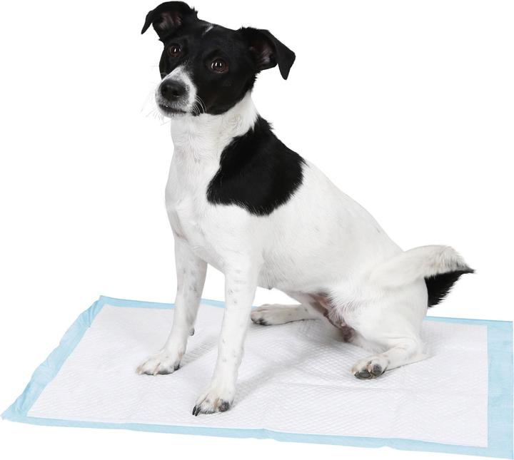 Produktbild Kerbl Trainingspad Welpentoilette (Hund)