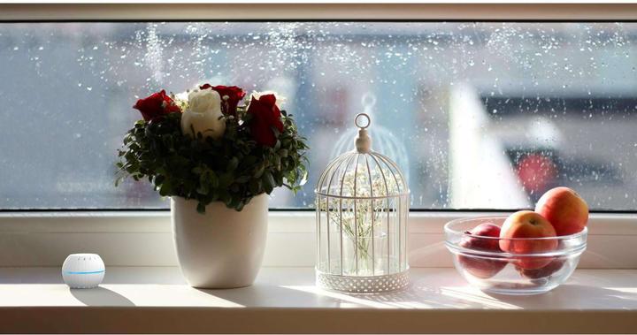 Produktbild Shelly WLAN Luftfeuchte und Temperatursensor H&T