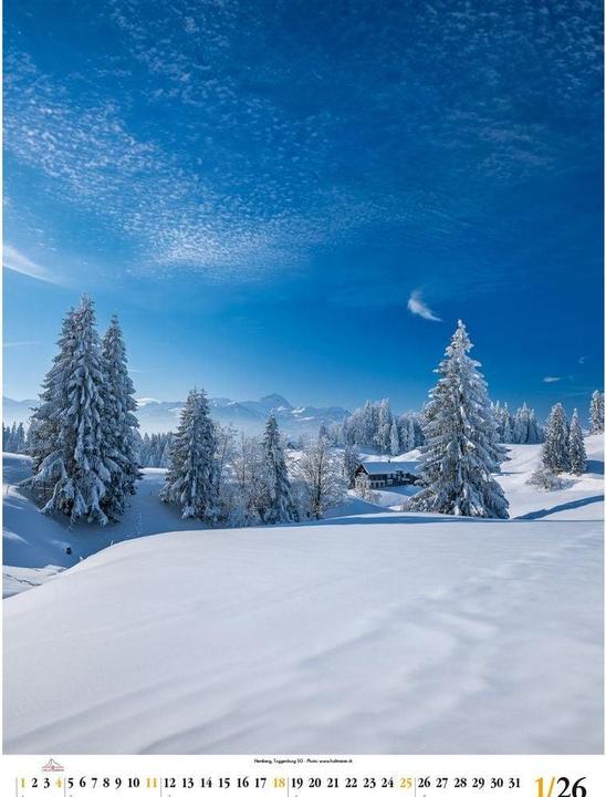 Actual product image Swiss Photo Poster 2026 (50 x 68 cm, German)