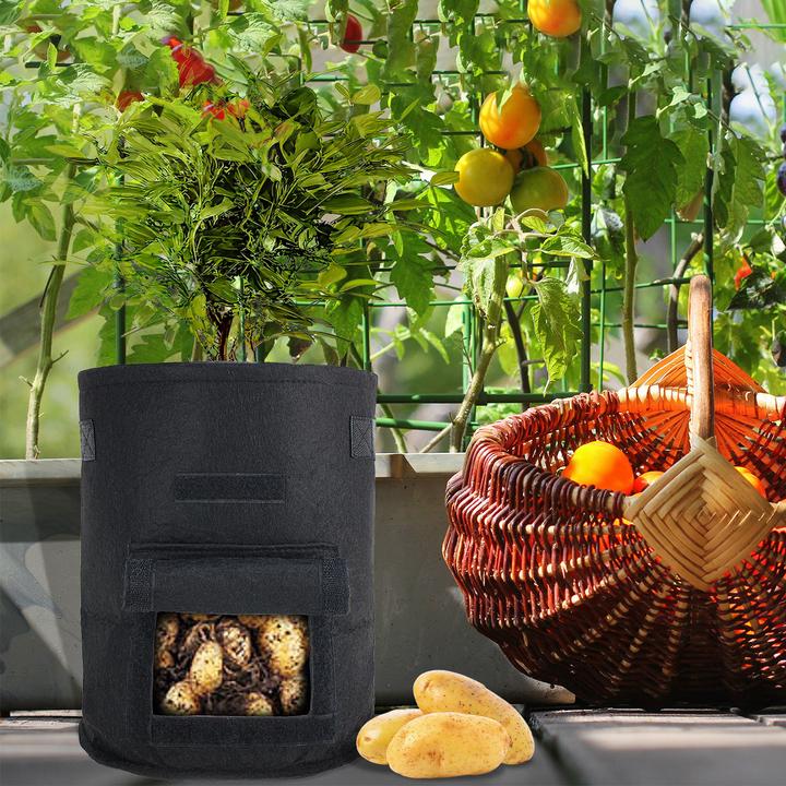 Image du produit Casativo Sacs de croissance pour plantes, lot de 10 (20 cm)