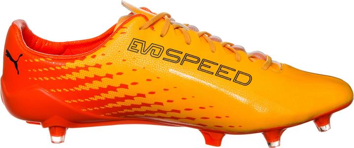 Produktbild Puma evoSPEED 17 SL S FG Fussballschuh (46)