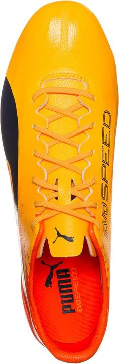Produktbild Puma evoSPEED 17 SL S FG Fussballschuh (46)