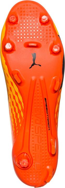 Produktbild Puma evoSPEED 17 SL S FG Fussballschuh (46)