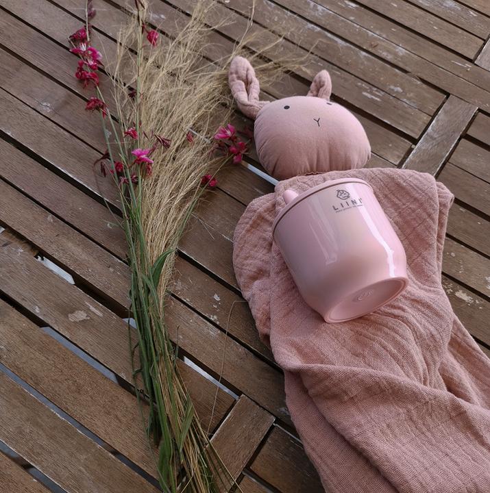 Actual product image Liini Adapter for Medela baby bottles