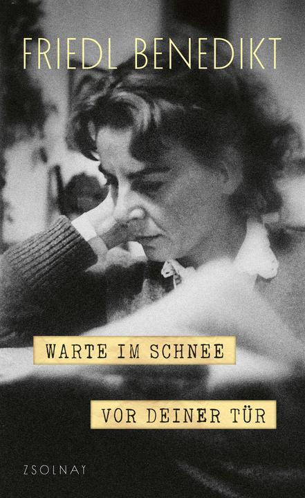 Produktbild Warte im Schnee vor Deiner Tür (Deutsch, Friedl Benedikt, Ernst Strouhal, Fanny Esterházy, 2025)