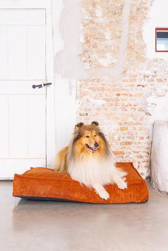 Actual product image Designed by Lotte DBL COUCH CUSHION RIBBED TERRA 100X70X15 (Dog)