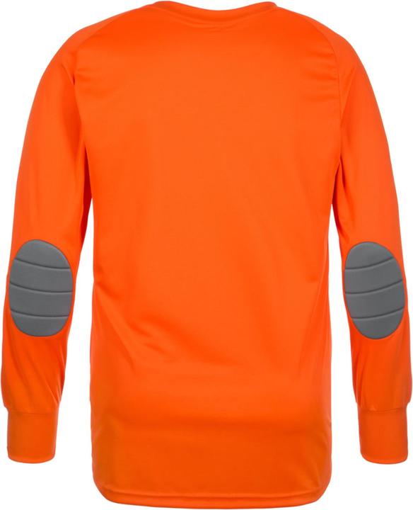 Actual product image adidas Assita 17 Goalkeeper (140)
