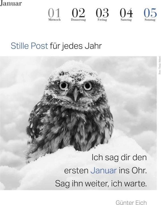 Actual product image The literary owl calendar 2025 (24 x 32 cm, Hardcover, German)