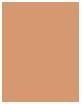 Immagine prodotto Erborian BB Creme Dore (Doré)