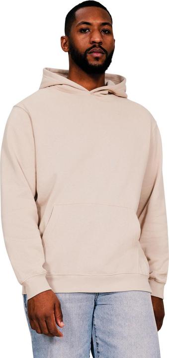 Immagine prodotto Universal Textiles Core Felpa con Cappuccio Uomo (4XL)