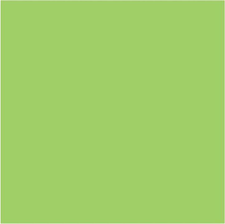 Actual product image Papyrus Rainbow Paper Green A3 (160 g/m², 250 x, A3)