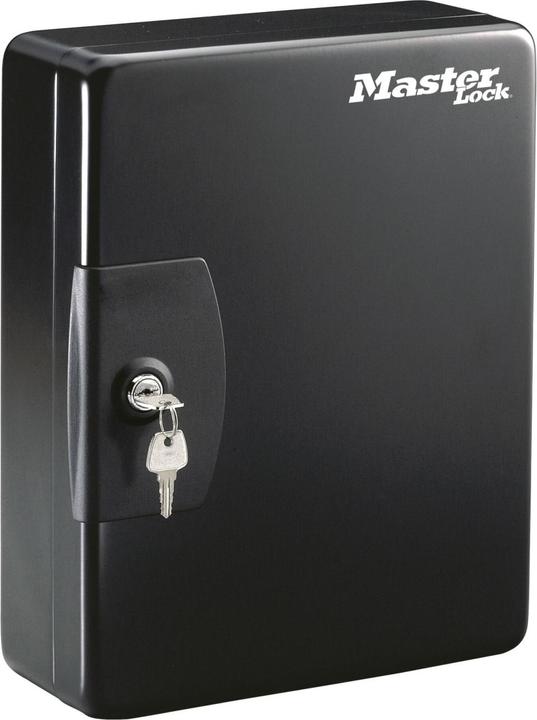 Actual product image Master Lock Pedro