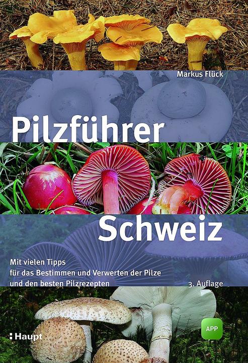 Immagine prodotto Guida ai funghi in Svizzera (Tedesco)