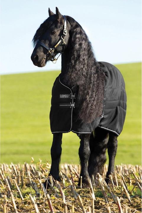 Produktbild Horseware Stalldecke Rambo 200g (140 cm)