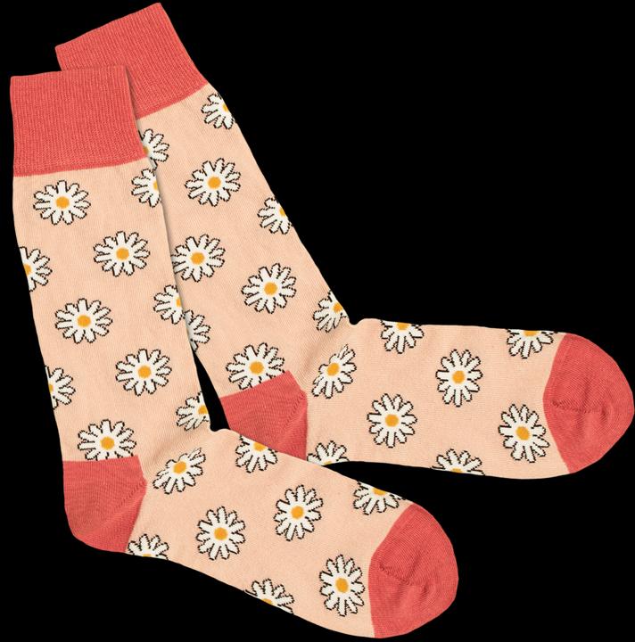 DillySocks Kiwi Flower (confezione da 3)