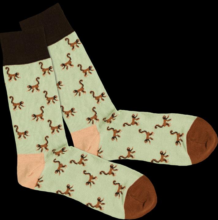 DillySocks Monkey Park (Confezione singola)