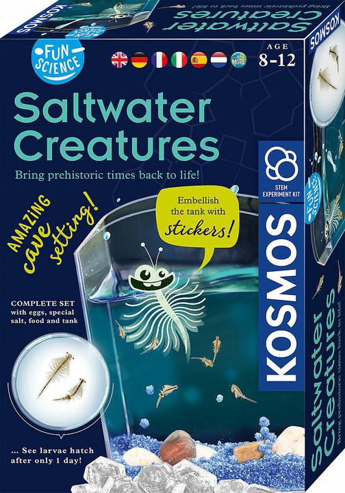 Actual product image Kosmos Fun Science Scurrying brine shrimp - INT