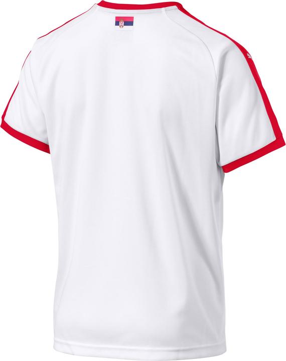 Produktbild Puma Serbien Away Replica WM 2018 (M)