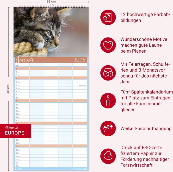 Produktbild Cool Cats Familienplaner 2026 (22 x 48 cm, Harter Einband, Deutsch)
