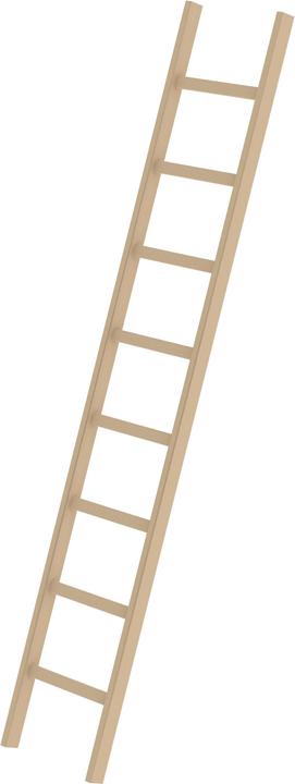 Produktbild Munk Sprossen-Anlegeleiter Holz ohne Traverse 8 Sprossen (Anlegeleiter, 248 cm)