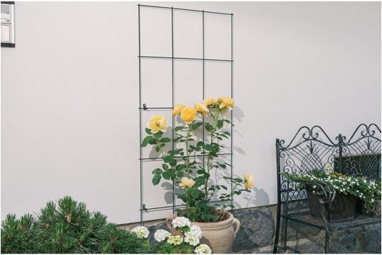 Produktbild Windhager Gitterspaliere (150 cm, 75 cm)
