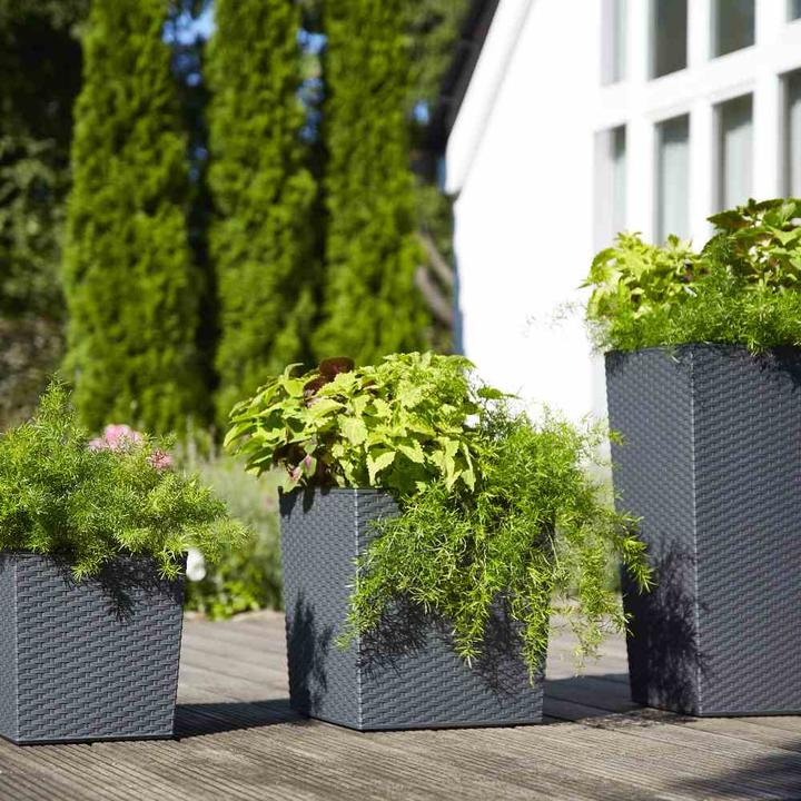Produktbild Siena Garden Modern (30 cm)