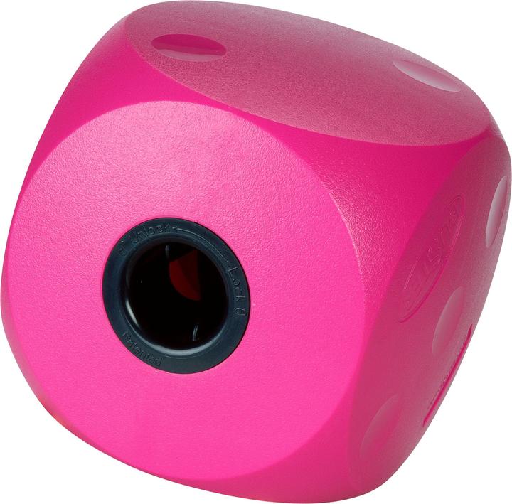 Produktbild Buster Food Cube cherry - (274081) (Snackbeutel Hund)