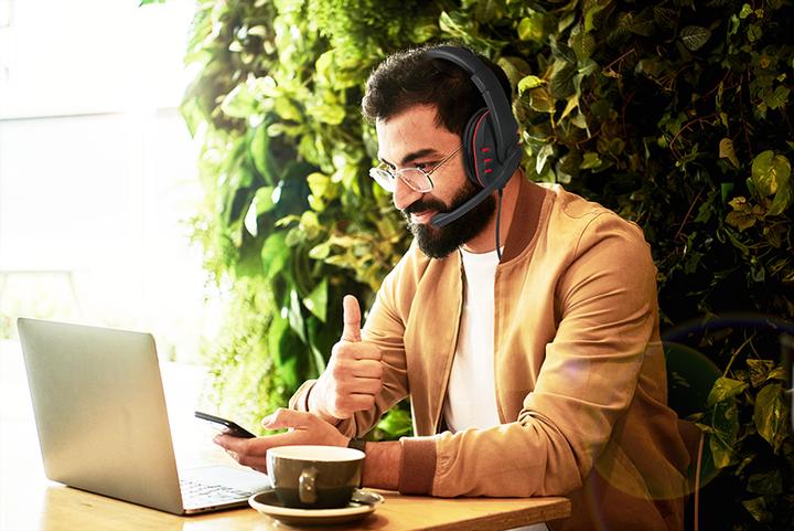 Produktbild LogiLink Stereo Quality (Kabelgebunden)