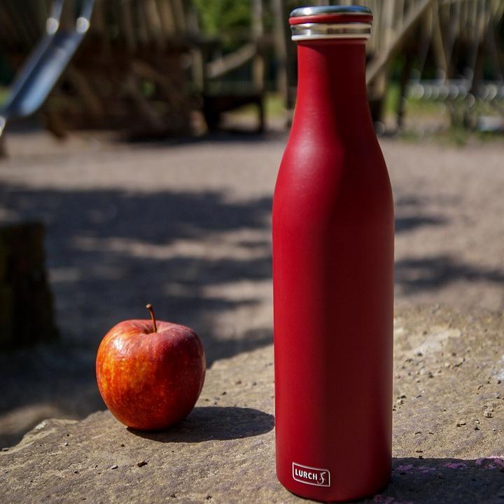 Actual product image Lurch Milk (0.75 l)