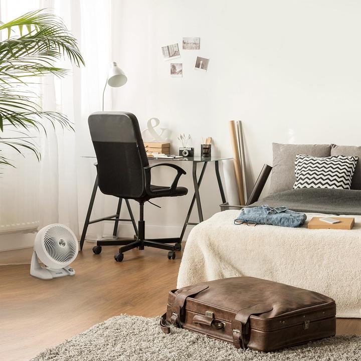 Actual product image Vornado 633DC (51 dB)