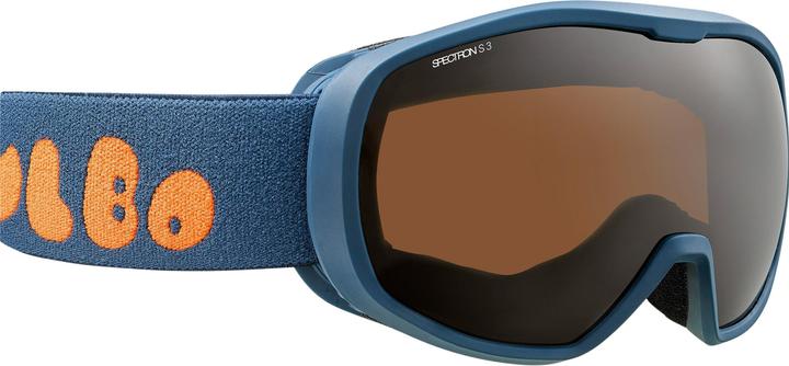 Ski goggles