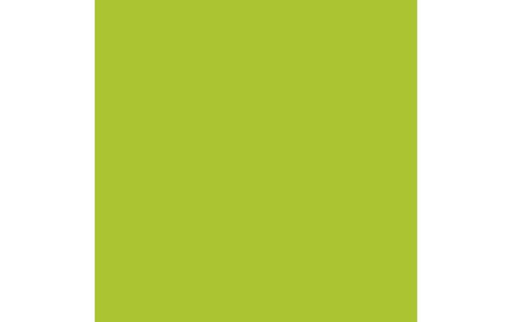 Productafbeelding Amsterdam Acrylverf Standaard Serie (Groen-geel, 120 ml)