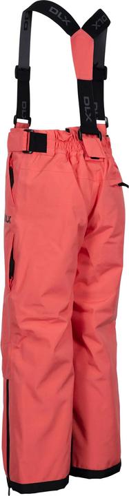 Actual product image Trespass Childrens/Kids Benito Ski Trousers (146)