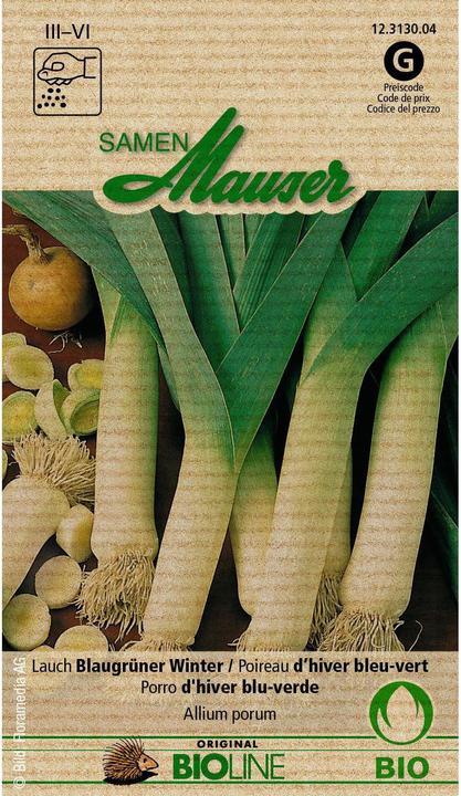 Samen Mauser Bourgeons Bio Poireaux (Plante bulbeuse)