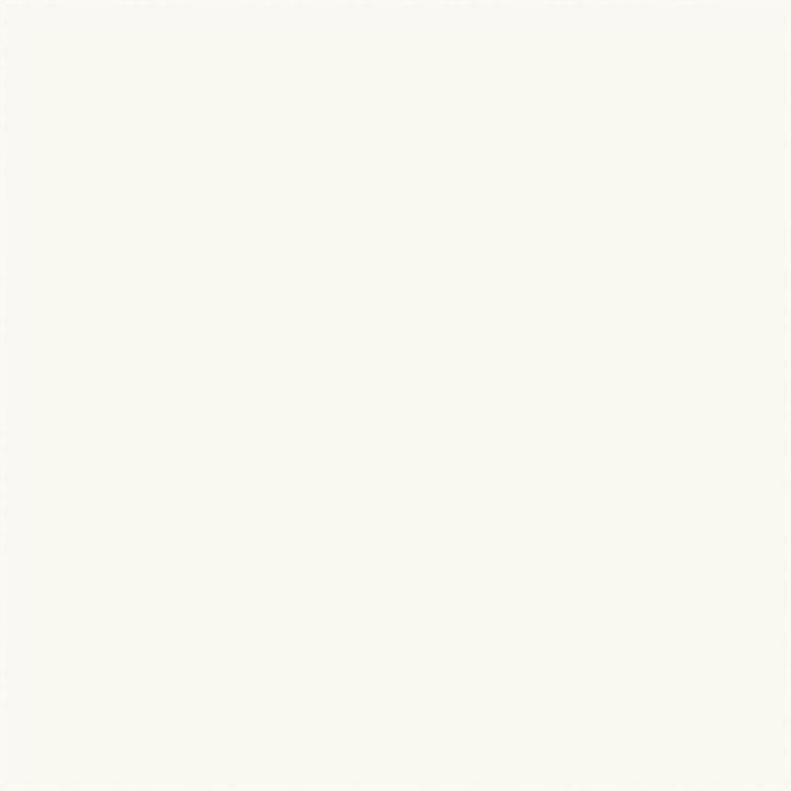 Image du produit Creativ Company Peinture extérieure - Blanc, 250 ml (Blanc, 250 ml)
