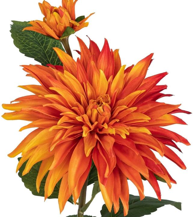 Produktbild Botanic-Haus Kunstblume Dahlie, Orange, 85 cm (85 cm)